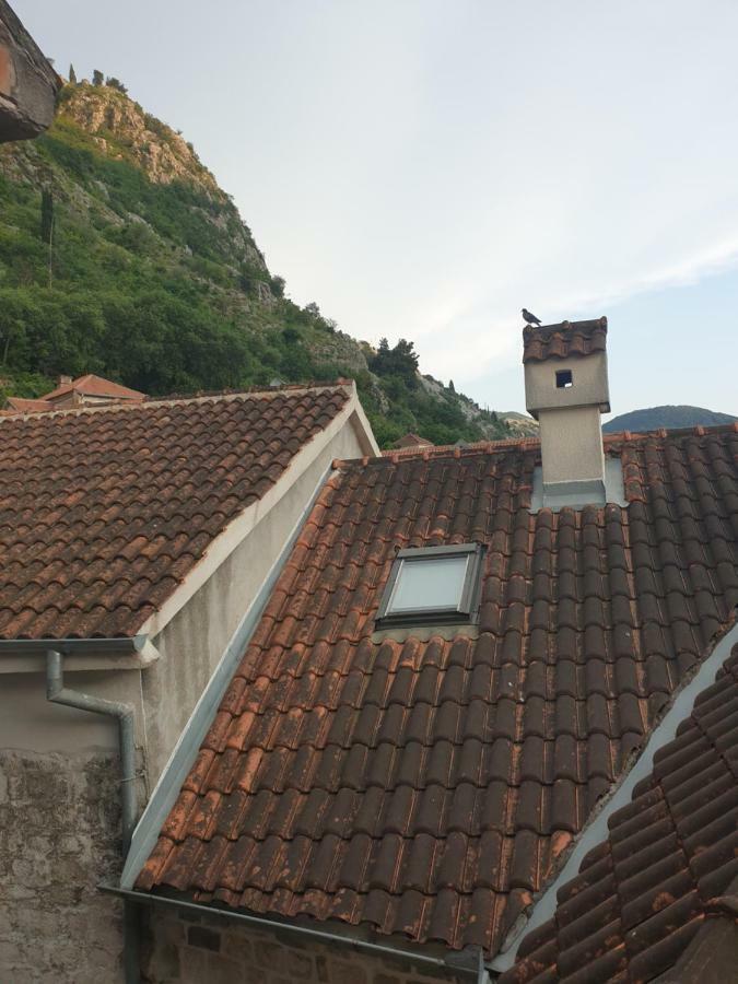 Nova Dvokrevetna Soba Sa Dva Odvojena Kreveta I Zajednickim Kupatilom Hotel Kotor Bagian luar foto