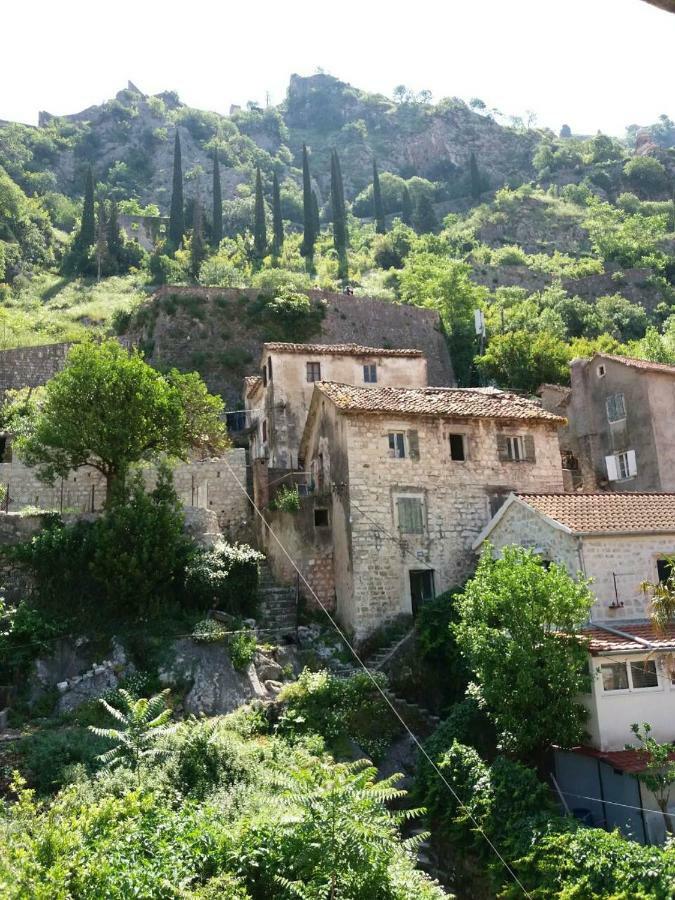 Nova Dvokrevetna Soba Sa Dva Odvojena Kreveta I Zajednickim Kupatilom Hotel Kotor Bagian luar foto